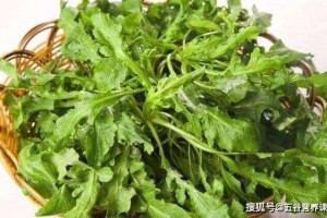 春天的野菜都是好宝物无妨挖此三种野菜早点知道早获益